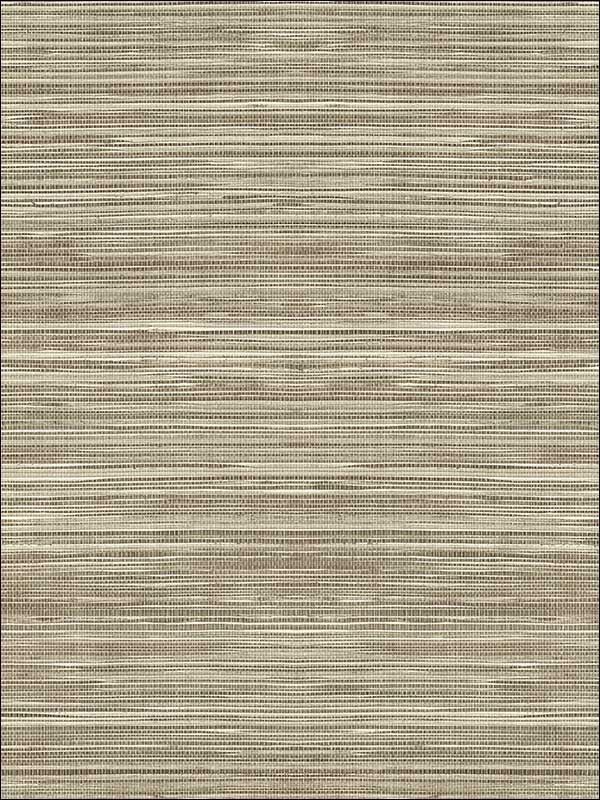 Coarse Grass Textile String fabric in brown taupe color - pattern number JC21006 - by Wallquest in the Grasseffects collection