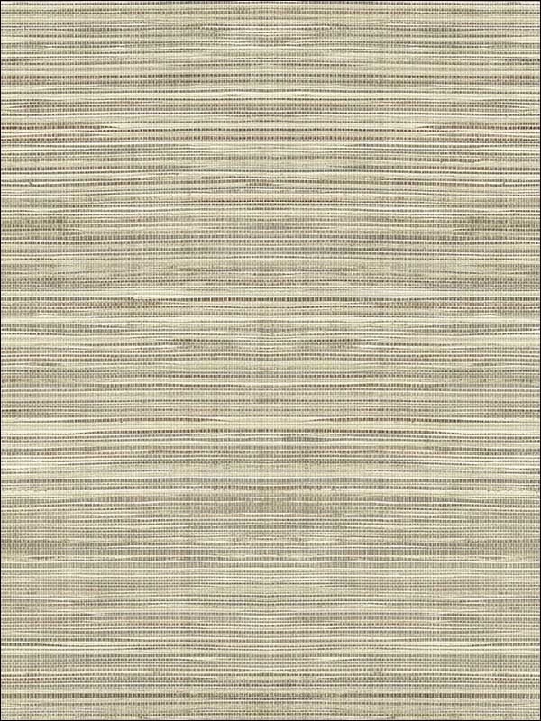 Coarse Grass Textile String fabric in warm neutral beige color - pattern number JC21015 - by Wallquest in the Grasseffects collection