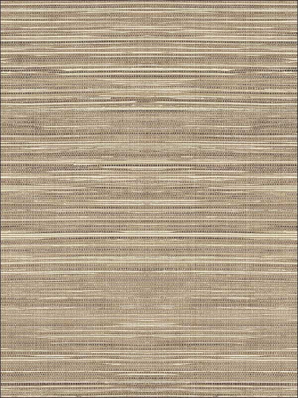 Coarse Grass Textile String fabric in brown taupe color - pattern number JC21016 - by Wallquest in the Grasseffects collection