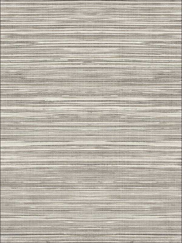 Coarse Grass Textile String fabric in silver pewter color - pattern number JC21020 - by Wallquest in the Grasseffects collection