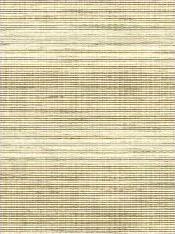 Fine Grass Textile String fabric in gold color - pattern number JC21305 - by Wallquest in the Grasseffects collection