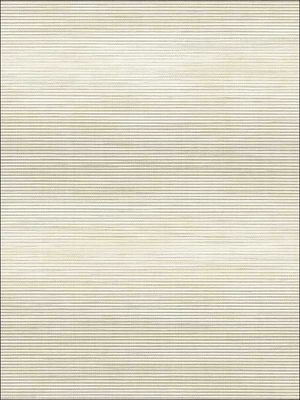 Fine Grass Textile String fabric in warm neutral beige color - pattern number JC21308 - by Wallquest in the Grasseffects collection