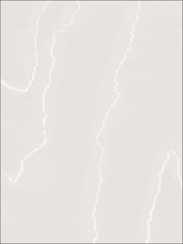 Watered Silk fabric in silver color - pattern number 106/1001.CS.0 - by Cole and Son in the Landscape Plains collection