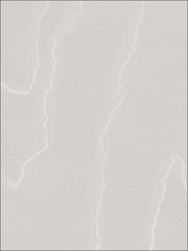 Watered Silk fabric in grey color - pattern number 106/1003.CS.0 - by Cole and Son in the Landscape Plains collection