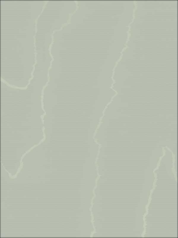 Watered Silk fabric in sage color - pattern number 106/1014.CS.0 - by Cole and Son in the Landscape Plains collection