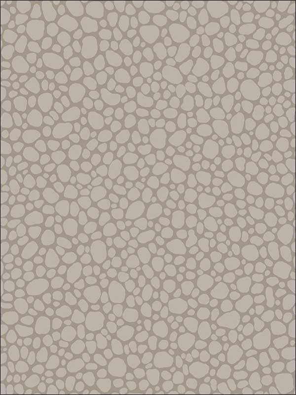 Pebble fabric in mushroom color - pattern number 106/2016.CS.0 - by Cole and Son in the Landscape Plains collection