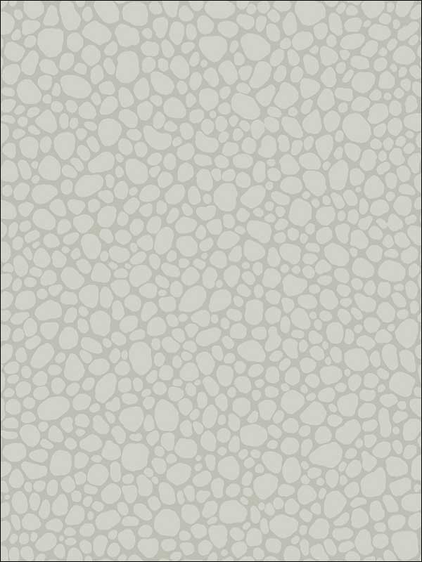 Pebble fabric in pale grey color - pattern number 106/2017.CS.0 - by Cole and Son in the Landscape Plains collection