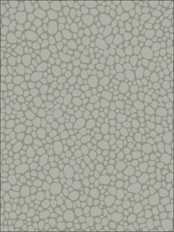 Pebble fabric in grey color - pattern number 106/2018.CS.0 - by Cole and Son in the Landscape Plains collection