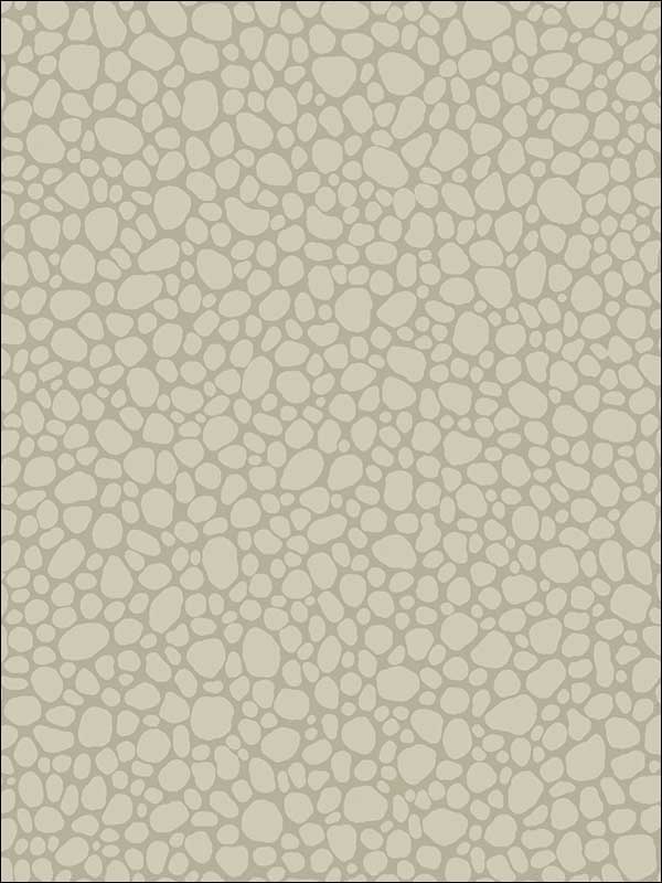 Pebble fabric in linen color - pattern number 106/2019.CS.0 - by Cole and Son in the Landscape Plains collection