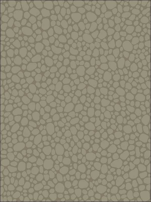 Pebble fabric in dark linen color - pattern number 106/2020.CS.0 - by Cole and Son in the Landscape Plains collection