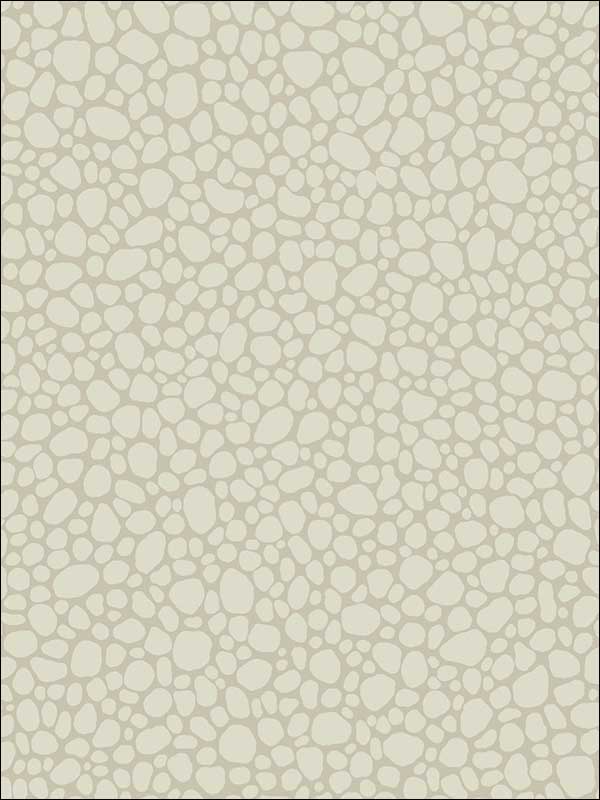 Pebble fabric in stone color - pattern number 106/2021.CS.0 - by Cole and Son in the Landscape Plains collection