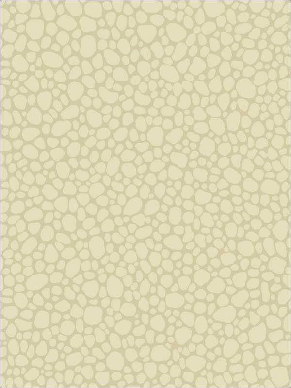 Pebble fabric in cream color - pattern number 106/2023.CS.0 - by Cole and Son in the Landscape Plains collection