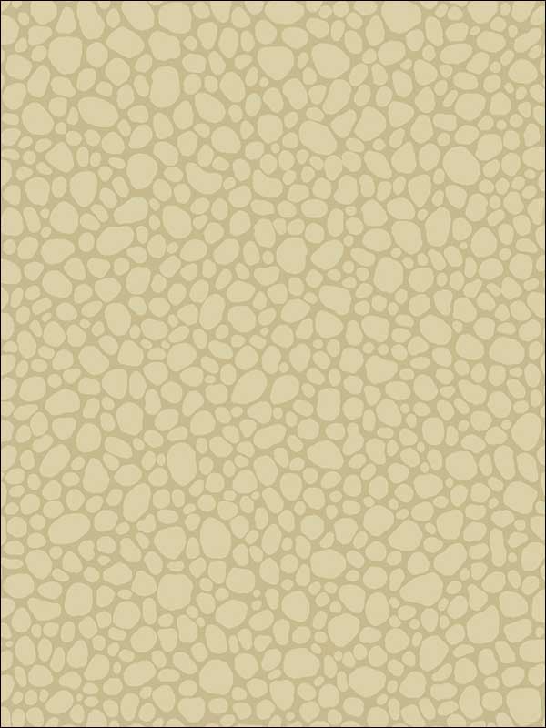 Pebble fabric in latte color - pattern number 106/2024.CS.0 - by Cole and Son in the Landscape Plains collection