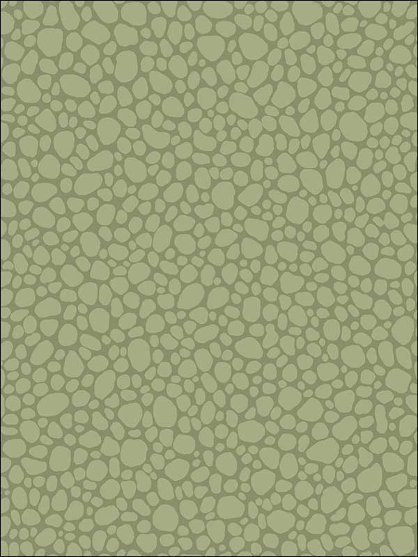 Pebble fabric in dark olive color - pattern number 106/2026.CS.0 - by Cole and Son in the Landscape Plains collection