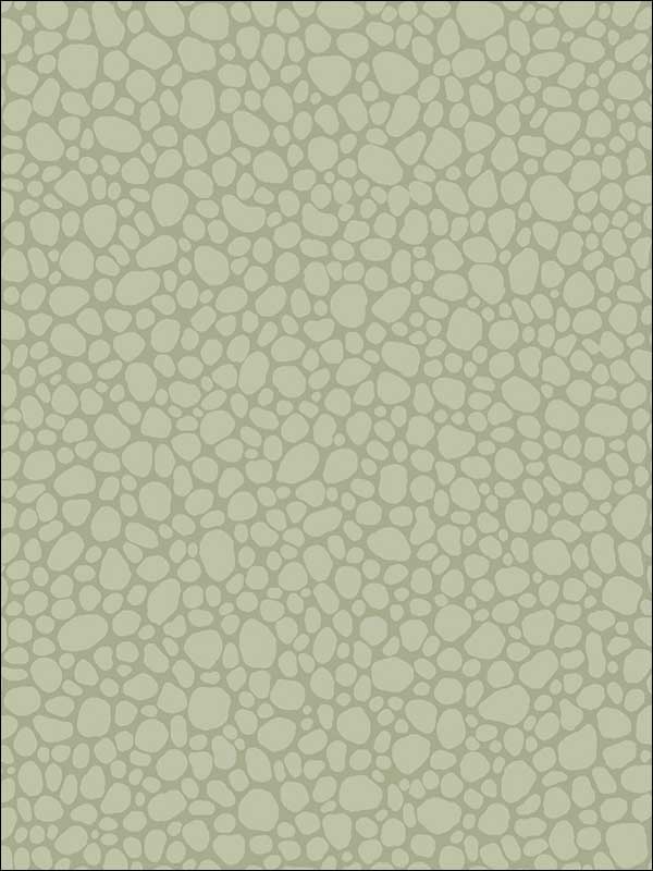 Pebble fabric in sage color - pattern number 106/2027.CS.0 - by Cole and Son in the Landscape Plains collection