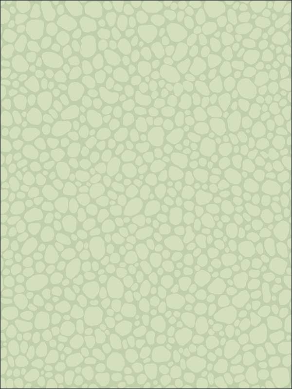 Pebble fabric in duck egg color - pattern number 106/2028.CS.0 - by Cole and Son in the Landscape Plains collection