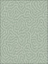 Coral fabric in sage color - pattern number 106/5066.CS.0 - by Cole and Son in the Landscape Plains collection