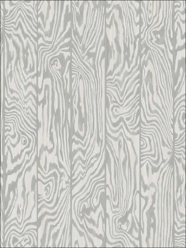 Zebrawood fabric in grey color - pattern number 107/1004.CS.0 - by Cole and Son in the Curio collection