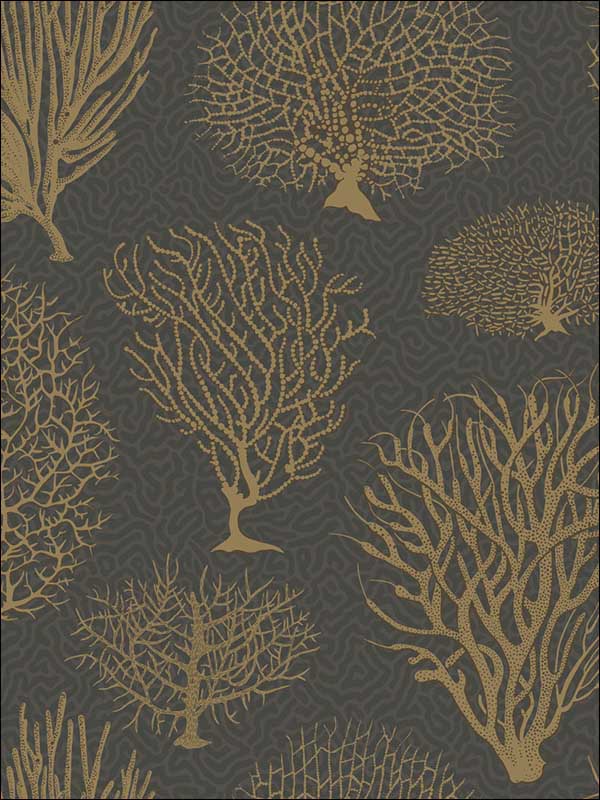 Seafern fabric in black and gold color - pattern number 107/2006.CS.0 - by Cole and Son in the Curio collection