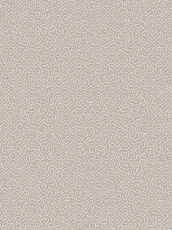 Vermicelli wallpaper in stone color - pattern number 107/4019.CS.0 - by Cole and Son in the Curio collection