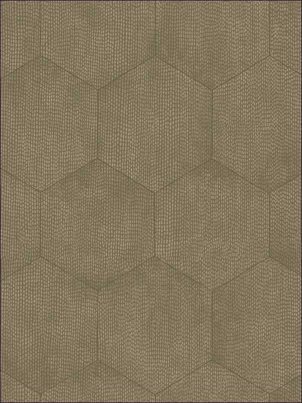 Mineral fabric in taupe color - pattern number 107/6028.CS.0 - by Cole and Son in the Curio collection