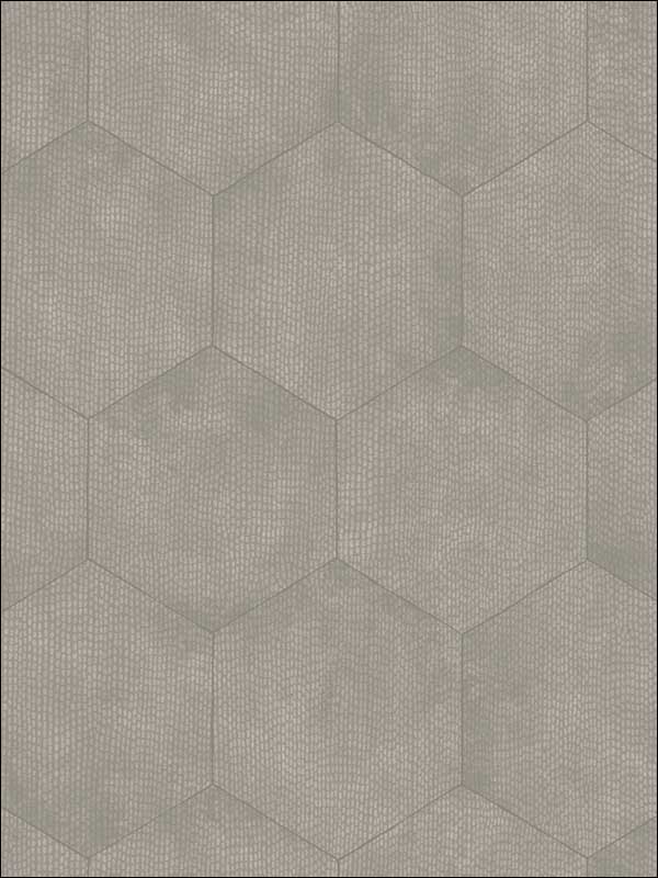 Mineral fabric in grey color - pattern number 107/6030.CS.0 - by Cole and Son in the Curio collection