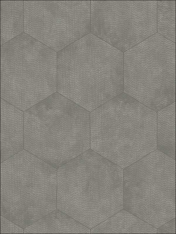 Mineral fabric in elephant color - pattern number 107/6031.CS.0 - by Cole and Son in the Curio collection