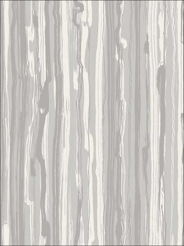 Strand wallpaper in grey color - pattern number 107/7034.CS.0 - by Cole and Son in the Curio collection