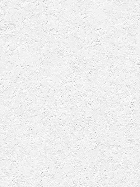 Fresco Texture Paintable fabric in white color - pattern number 48904 - by Patton Norwall in the Architectural Inspirations collection