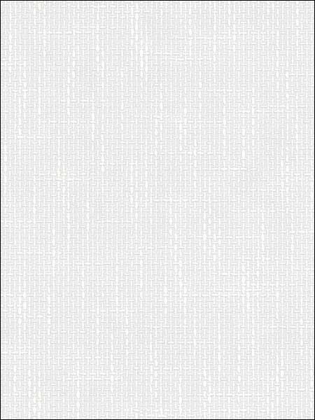 Woven Strands Texture Paintable fabric in white color - pattern number 48924 - by Patton Norwall in the Architectural Inspirations collection