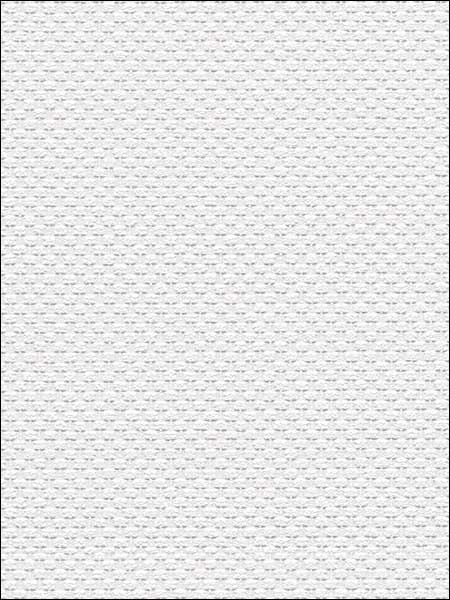 Waffle Texture Paintable fabric in white color - pattern number 48926 - by Patton Norwall in the Architectural Inspirations collection