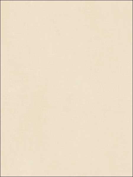 Linen Texture fabric in beige color - pattern number CG28873 - by Patton Norwall in the Rose Garden 2 collection