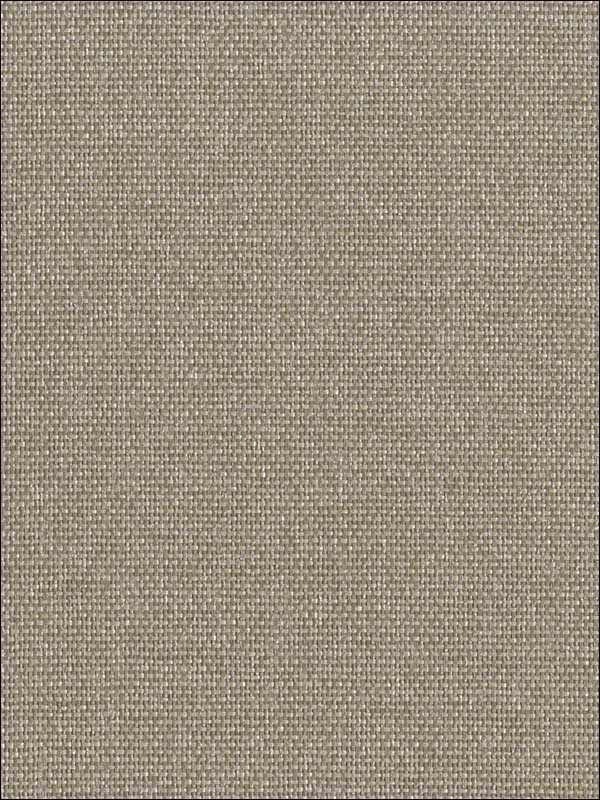 Jolla fabric in dark beige color - pattern number GR1048 - by Ronald Redding in the Grasscloth Resource Natural Wallpapers collection