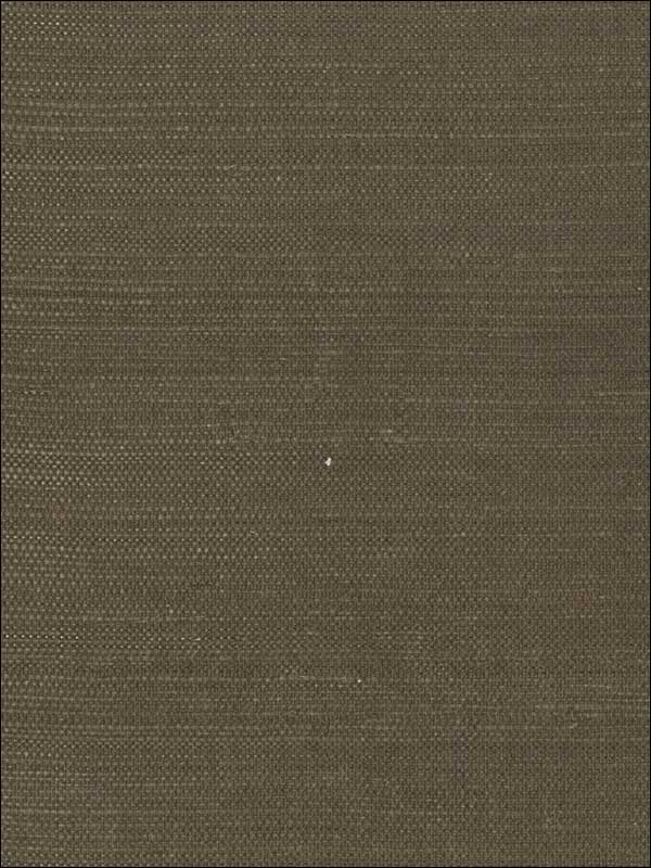 Imperial fabric in dark brown color - pattern number GR1059 - by Ronald Redding in the Grasscloth Resource Natural Wallpapers collection