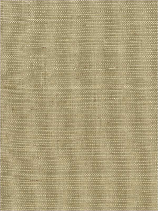 Imperial fabric in green color - pattern number GR1087 - by Ronald Redding in the Grasscloth Resource Natural Wallpapers collection