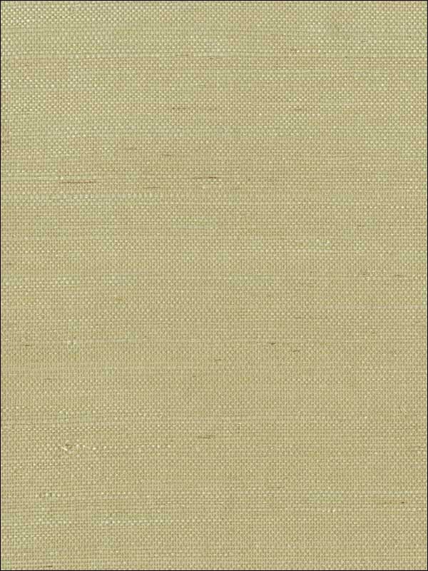 Imperial fabric in green color - pattern number GR1089 - by Ronald Redding in the Grasscloth Resource Natural Wallpapers collection