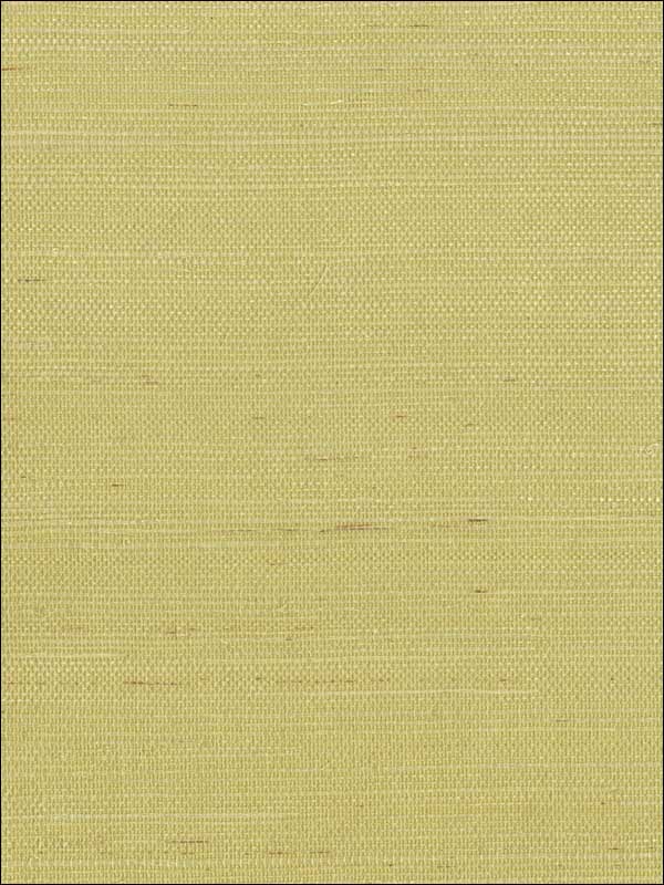 Imperial fabric in green color - pattern number GR1091 - by Ronald Redding in the Grasscloth Resource Natural Wallpapers collection