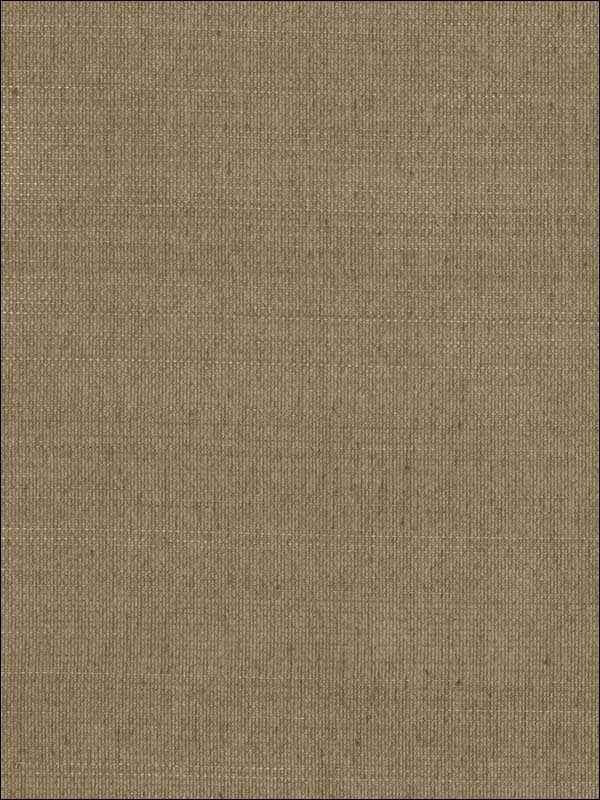 Palace wallpaper in brown color - pattern number SC5815 - by Ronald Redding in the Grasscloth Resource Natural Wallpapers collection