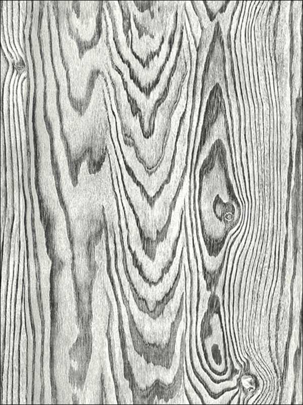 Stone wallpaper in 51300 color - pattern number IR51300 - by Pelican Prints in the Structure collection