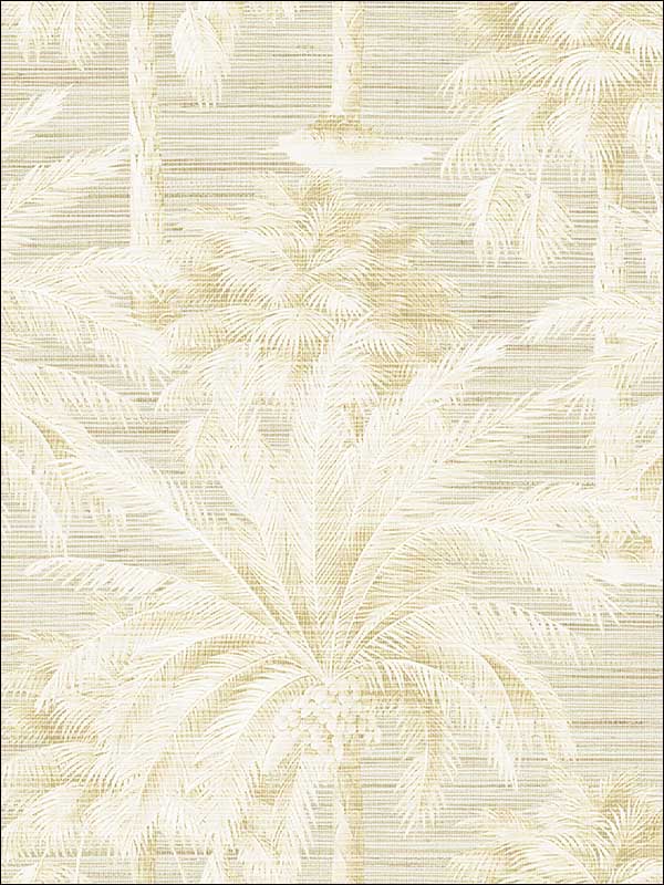Dream Of Palm Trees Texture fabric in beige color - pattern number PS40003 - by Kenneth James in the Palm Springs collection