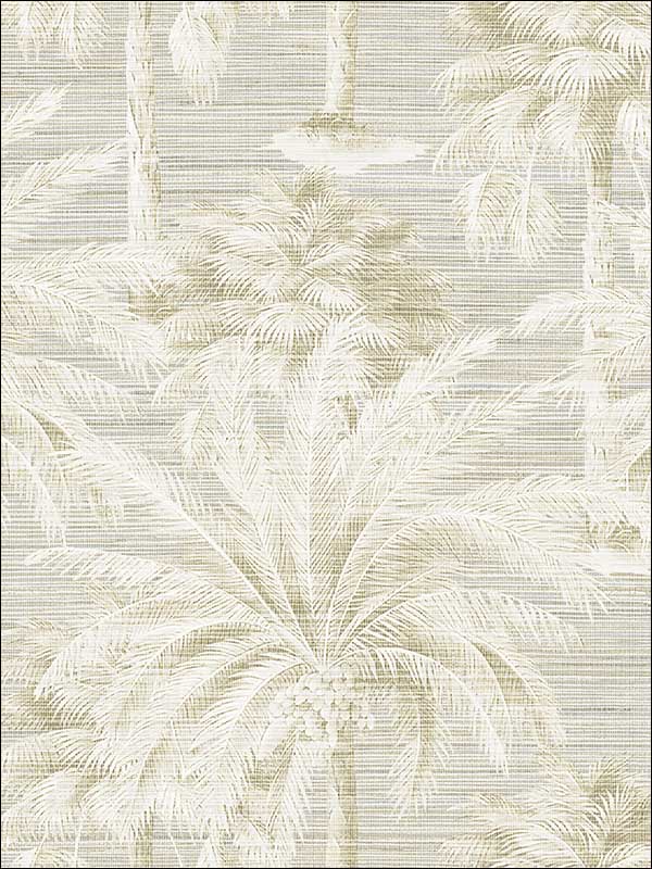 Dream Of Palm Trees Texture fabric in sand color - pattern number PS40005 - by Kenneth James in the Palm Springs collection