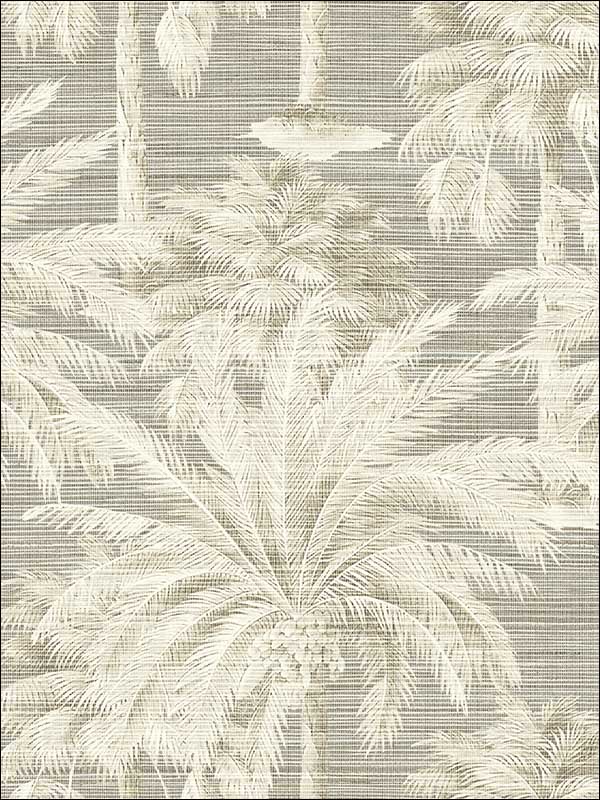 Dream Of Palm Trees Texture fabric in grey color - pattern number PS40006 - by Kenneth James in the Palm Springs collection