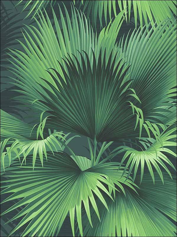 Endless Summer Palm wallpaper in dark green color - pattern number PS40104 - by Kenneth James in the Palm Springs collection