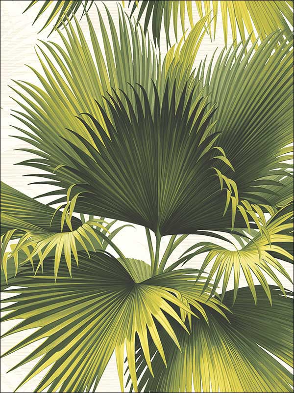 Endless Summer Palm fabric in green color - pattern number PS40114 - by Kenneth James in the Palm Springs collection