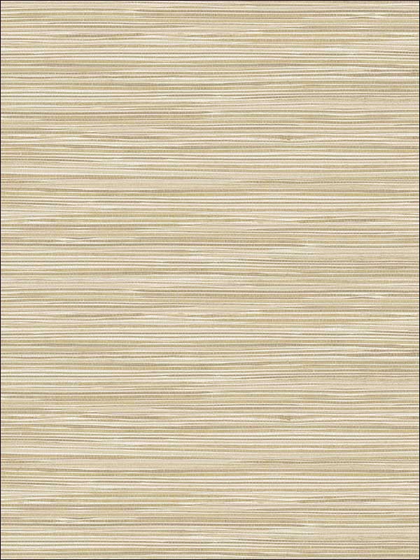 Holiday String Texture wallpaper in beige color - pattern number PS41605 - by Kenneth James in the Palm Springs collection
