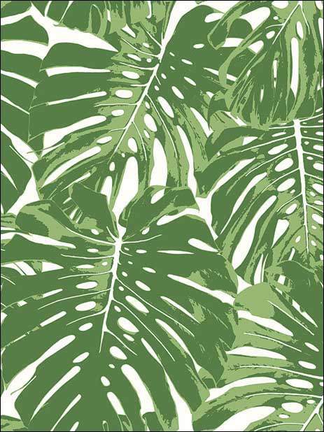 Jamaica fabric in basil green and white color - pattern number TA20004 - by Seabrook in the Tortuga collection