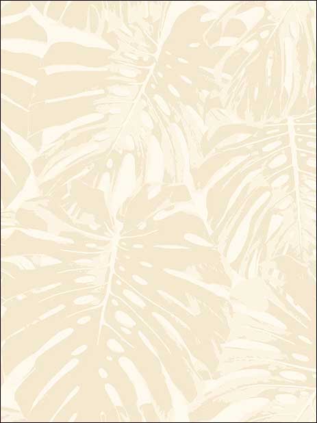 Jamaica fabric in tan and off white color - pattern number TA20005 - by Seabrook in the Tortuga collection