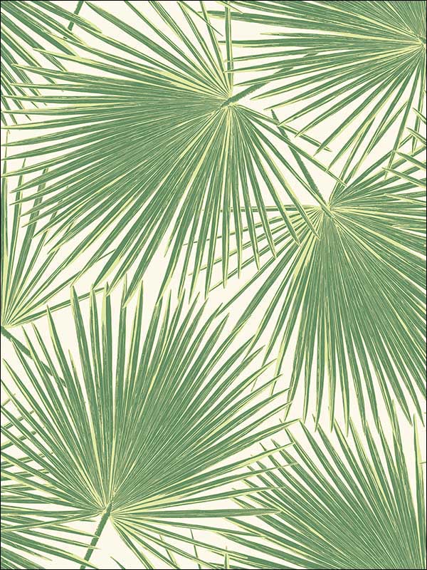Aruba fabric in fern green and white color - pattern number TA20204 - by Seabrook in the Tortuga collection