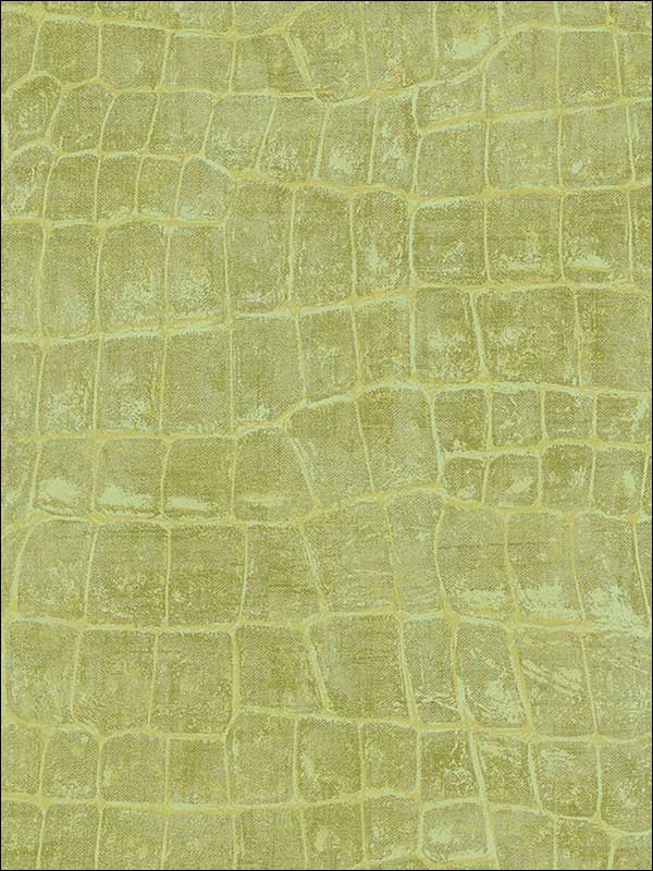 Curacao fabric in apple green color - pattern number TA20504 - by Seabrook in the Tortuga collection