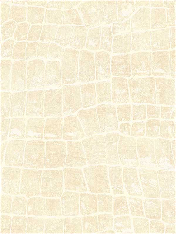 Curacao fabric in beige color - pattern number TA20505 - by Seabrook in the Tortuga collection